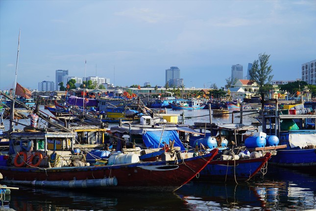 Chủ tàu vui một, thương nhân vui mười - Ảnh 1.