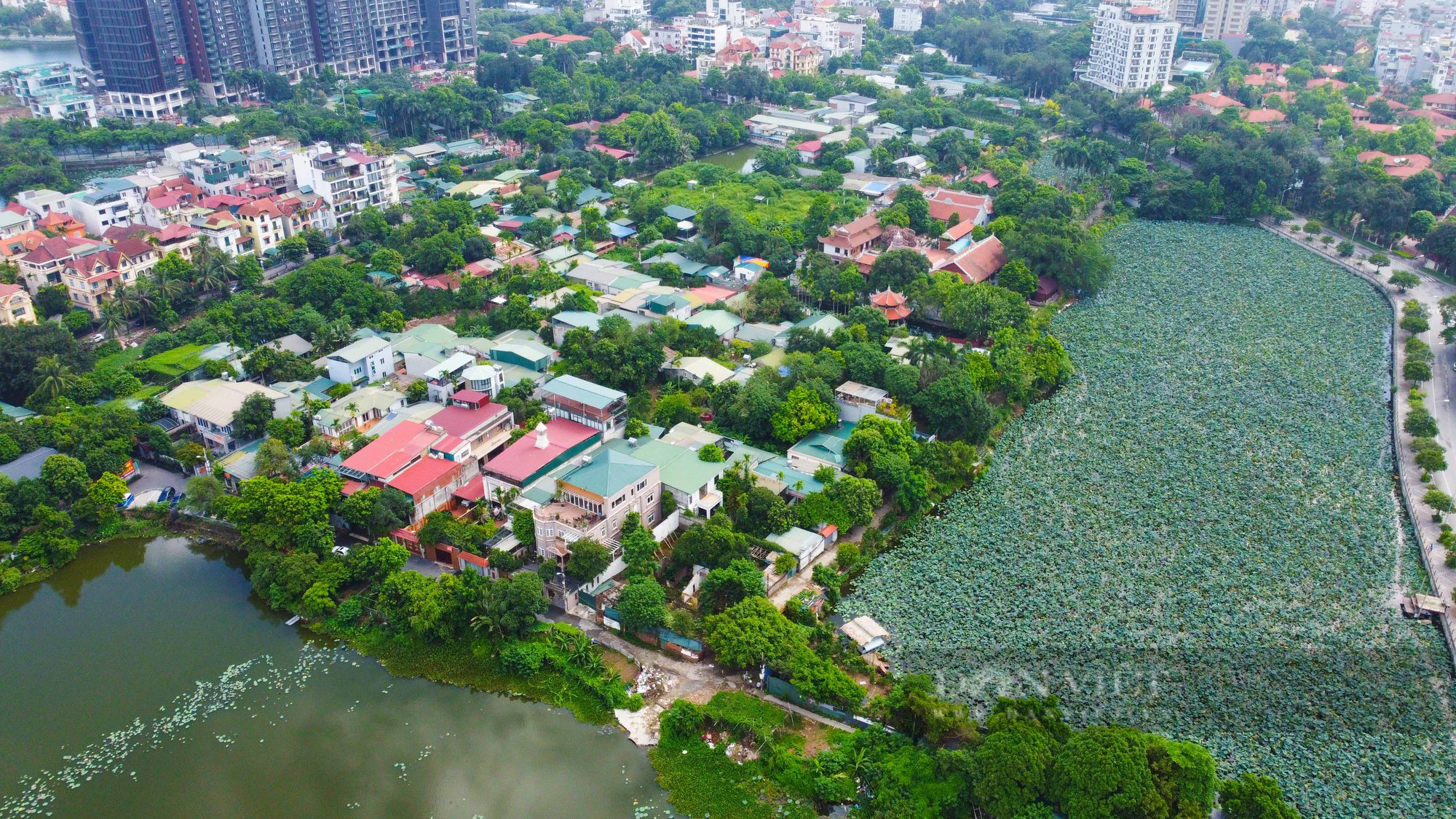 Lộ diện bán đảo sắp trở thành nhà hát nổi rộng 13.000 mét vuông - Ảnh 5.