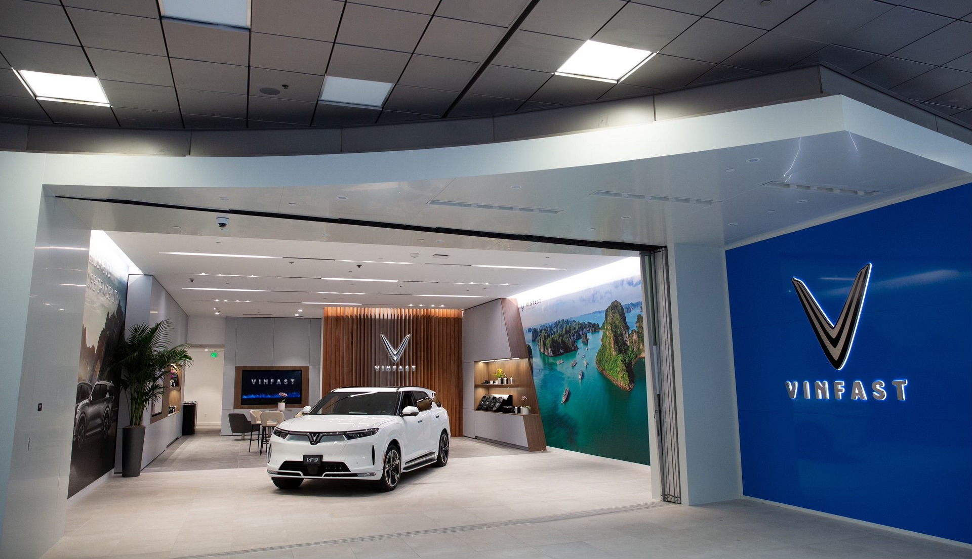VinFast khai trương 6 trung tâm bán hàng tại Mỹ - Ảnh 6.