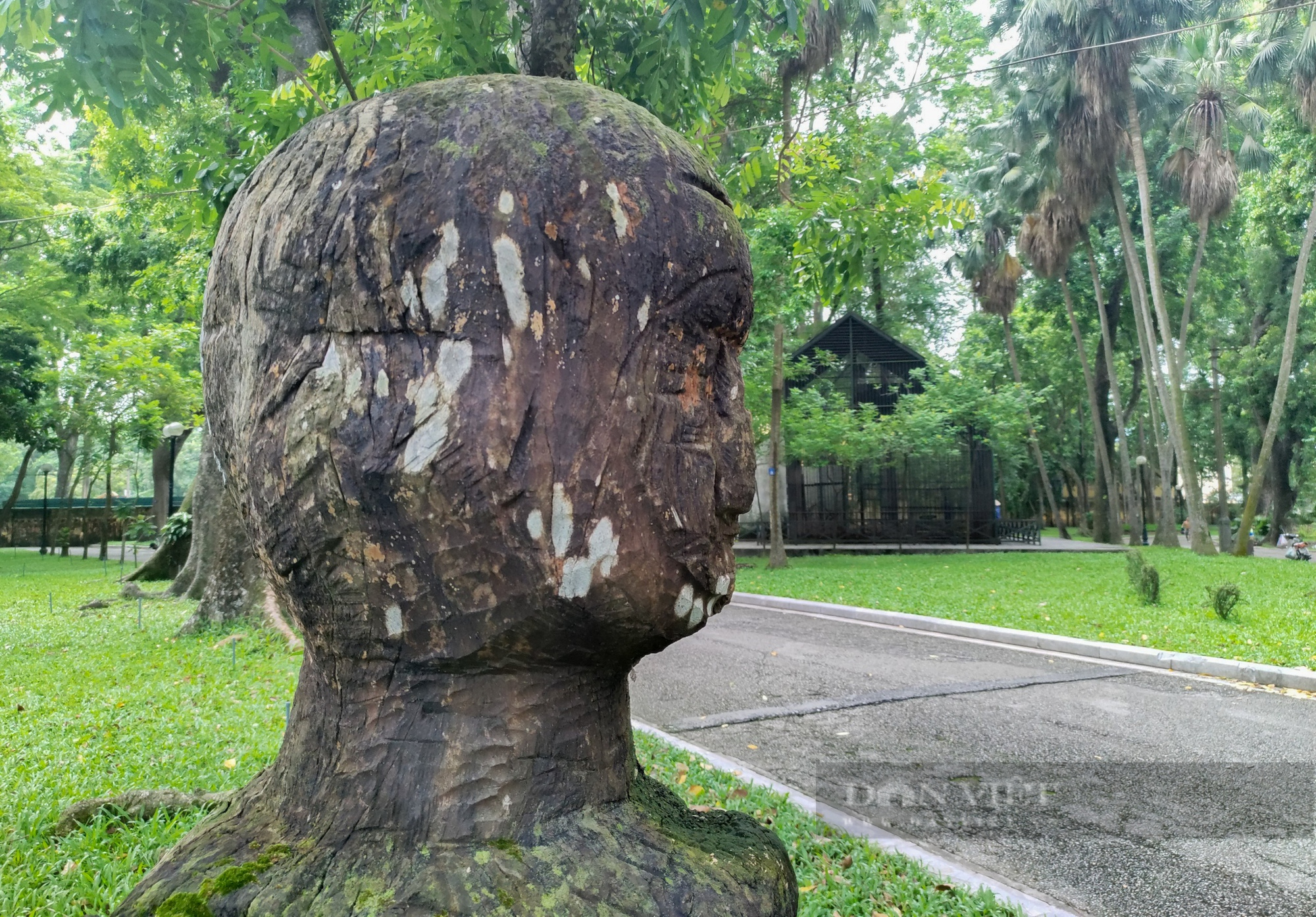 Hà Nội: Vườn tượng nghệ thuật hoang tàn trong Công viên Bách Thảo - Ảnh 5.