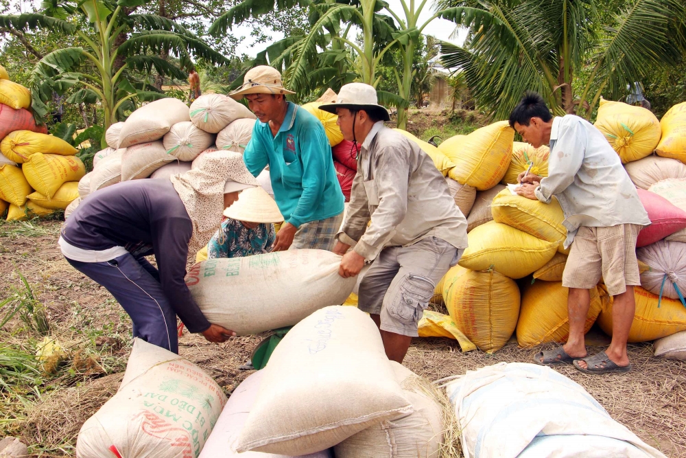 Hoạt động giao dịch trầm lắng, giá gạo xuất khẩu chưa thể bứt phá - Ảnh 1.