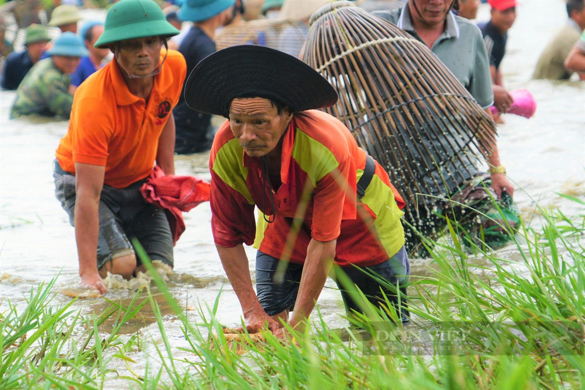 Lễ hội bắt cá Vực Rào tồn tại trên 300 năm ở Hà Tĩnh bắt nguồn từ đâu? - Ảnh 4.