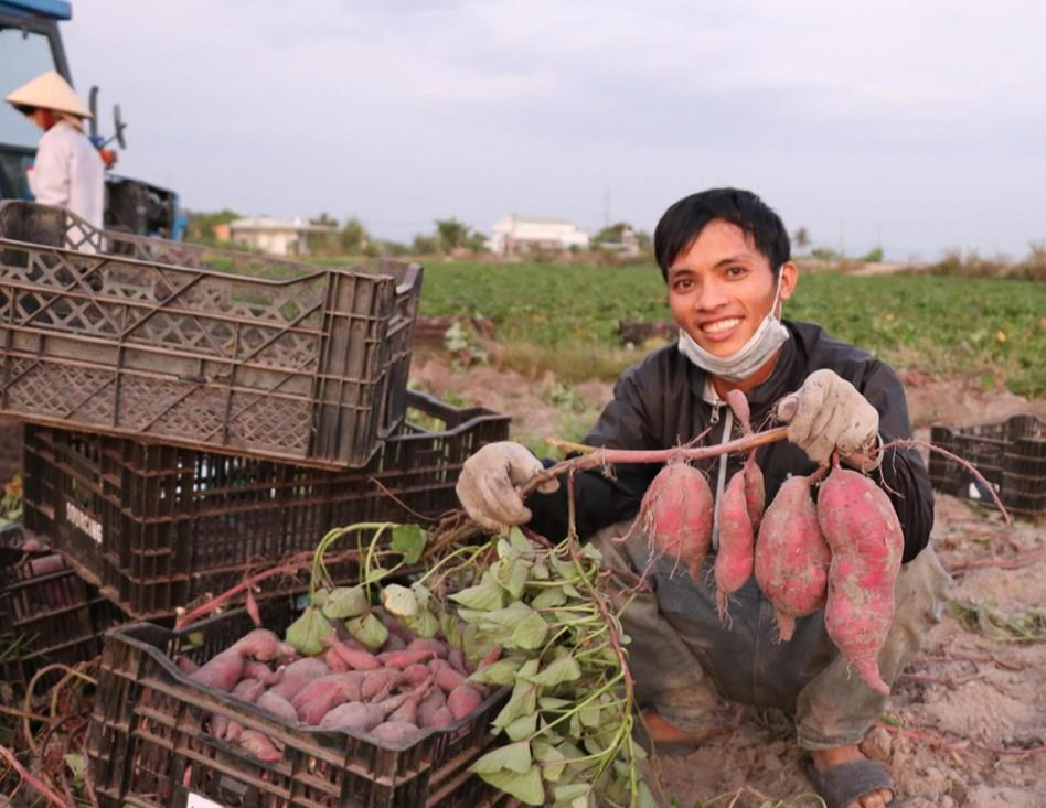 Thực hư “vua các loại rau củ” được cho là có công dụng sánh ngang nhân sâm? Là loại củ nào? - Ảnh 2.