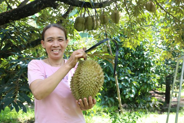 Ninh Thuận: Du khách tận thấy cảm giác “hái tận tay, ăn tận gốc” ở xứ miệt vườn trái cây Lâm Sơn - Ảnh 3.