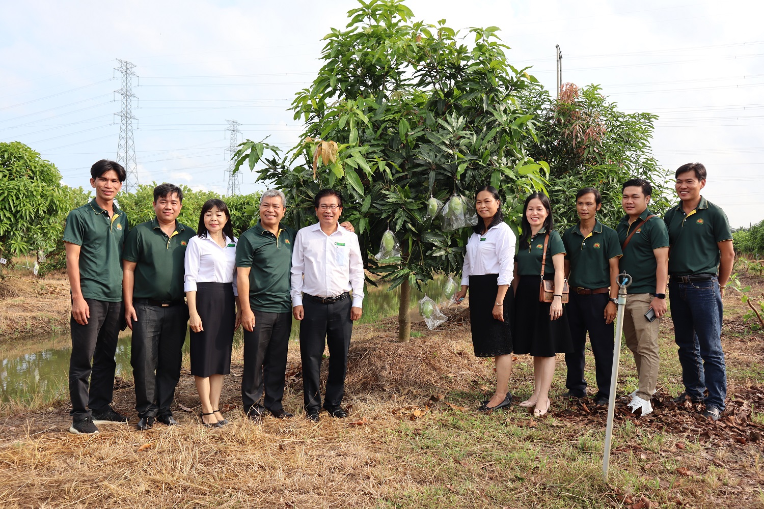 Bán bản quyền giống cây trồng, các viện nghiên cứu đang sở hữu &quot;kho báu&quot; tiền tỷ - Ảnh 2.