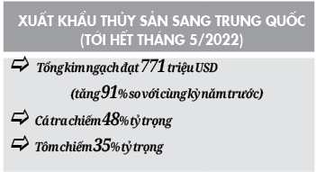 Trung Quốc nới lỏng kiểm soát Covid-19 trên thực phẩm nhập khẩu: Cơ hội cho thủy sản Việt Nam  - Ảnh 2.