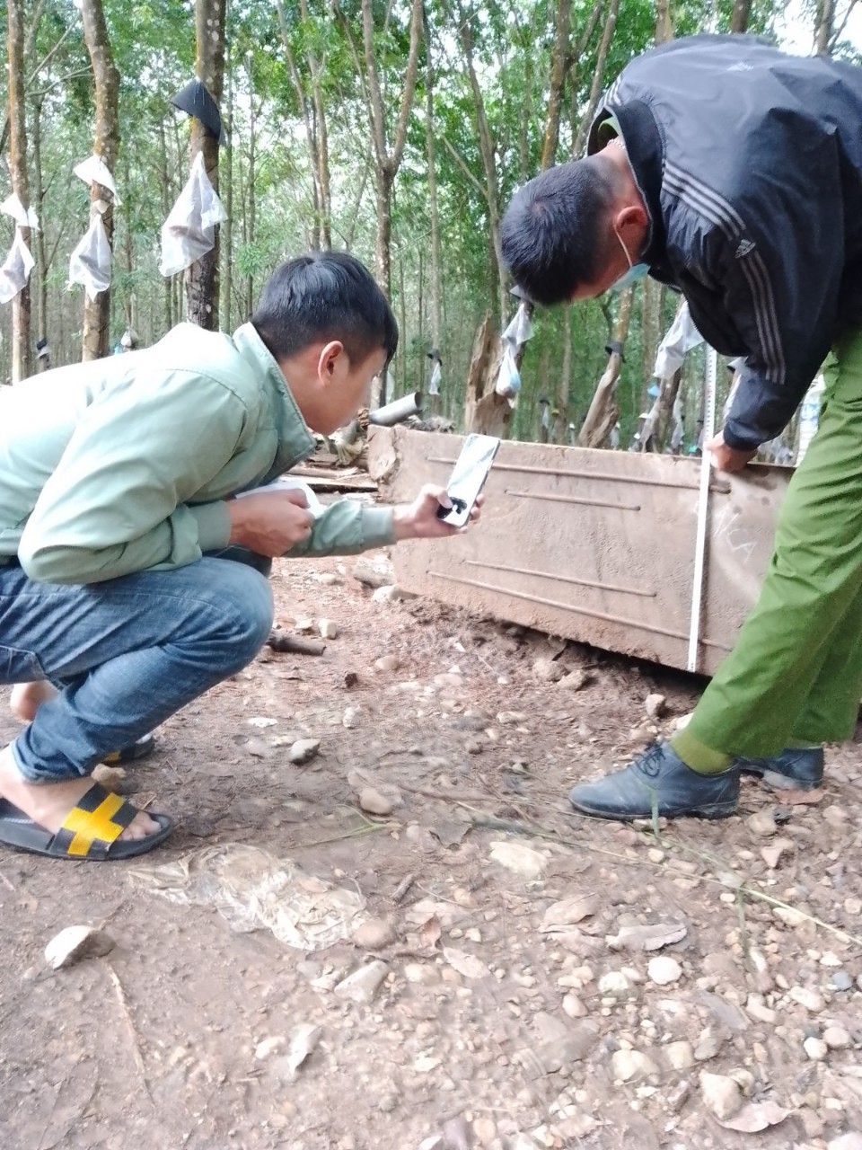 Người đàn ông đào gỗ lạ dưới lòng đất bị xử phạt: Luật sư nói gì?  - Ảnh 1.