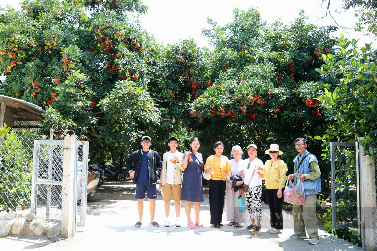 Ninh Thuận: Du khách tận thấy cảm giác “hái tận tay, ăn tận gốc” ở xứ miệt vườn trái cây Lâm Sơn - Ảnh 1.