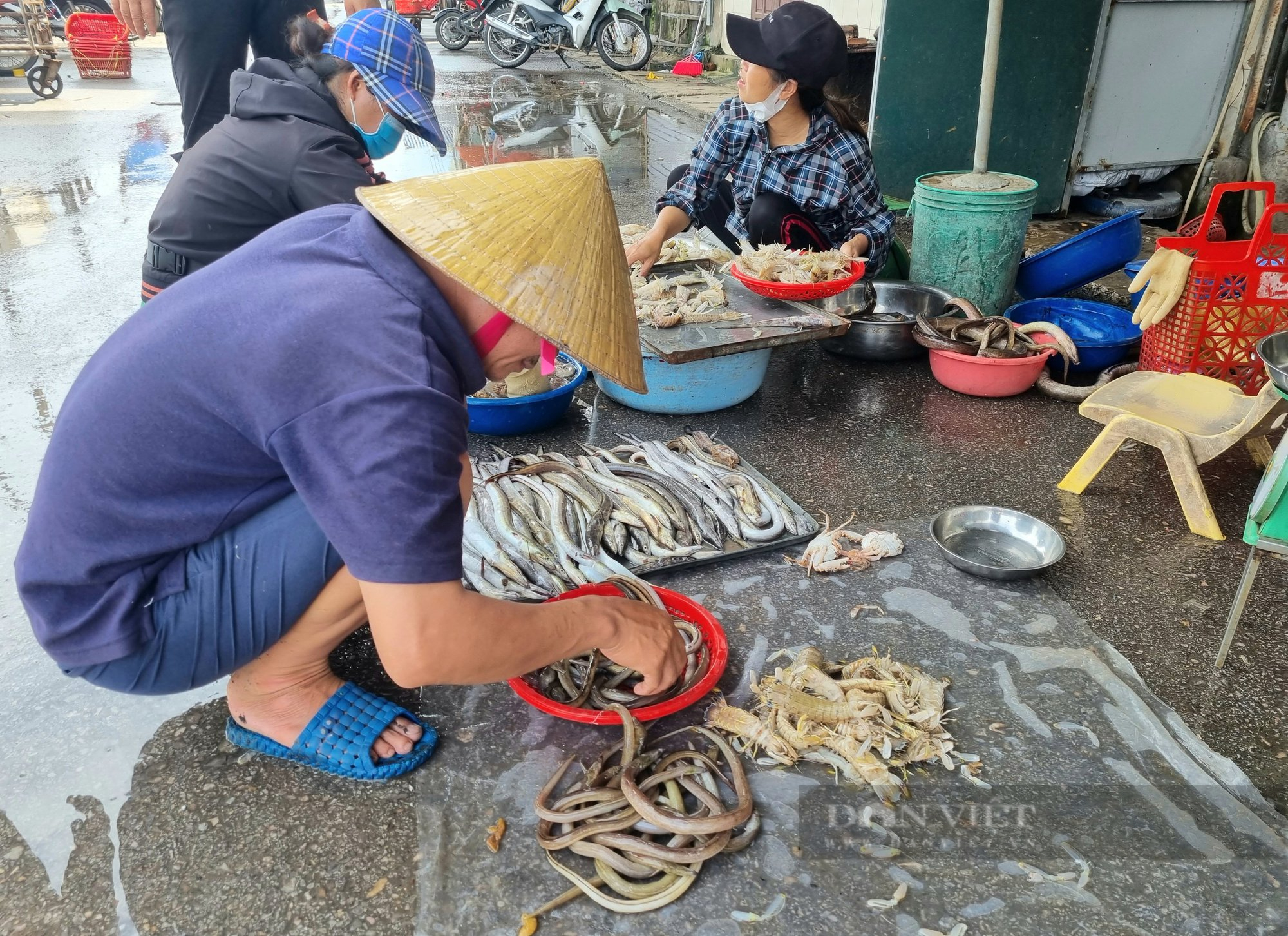 Thanh Hóa: Cận cảnh thu mua cá, tôm khi thuyền cập bến - Ảnh 6.