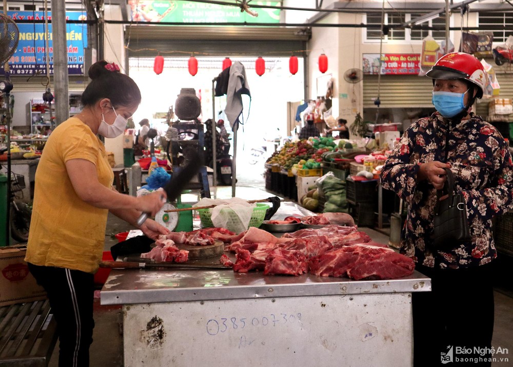 Giá lợn hơi bật tăng cao, người chăn nuôi Nghệ An tích cực tái đàn - Ảnh 3.
