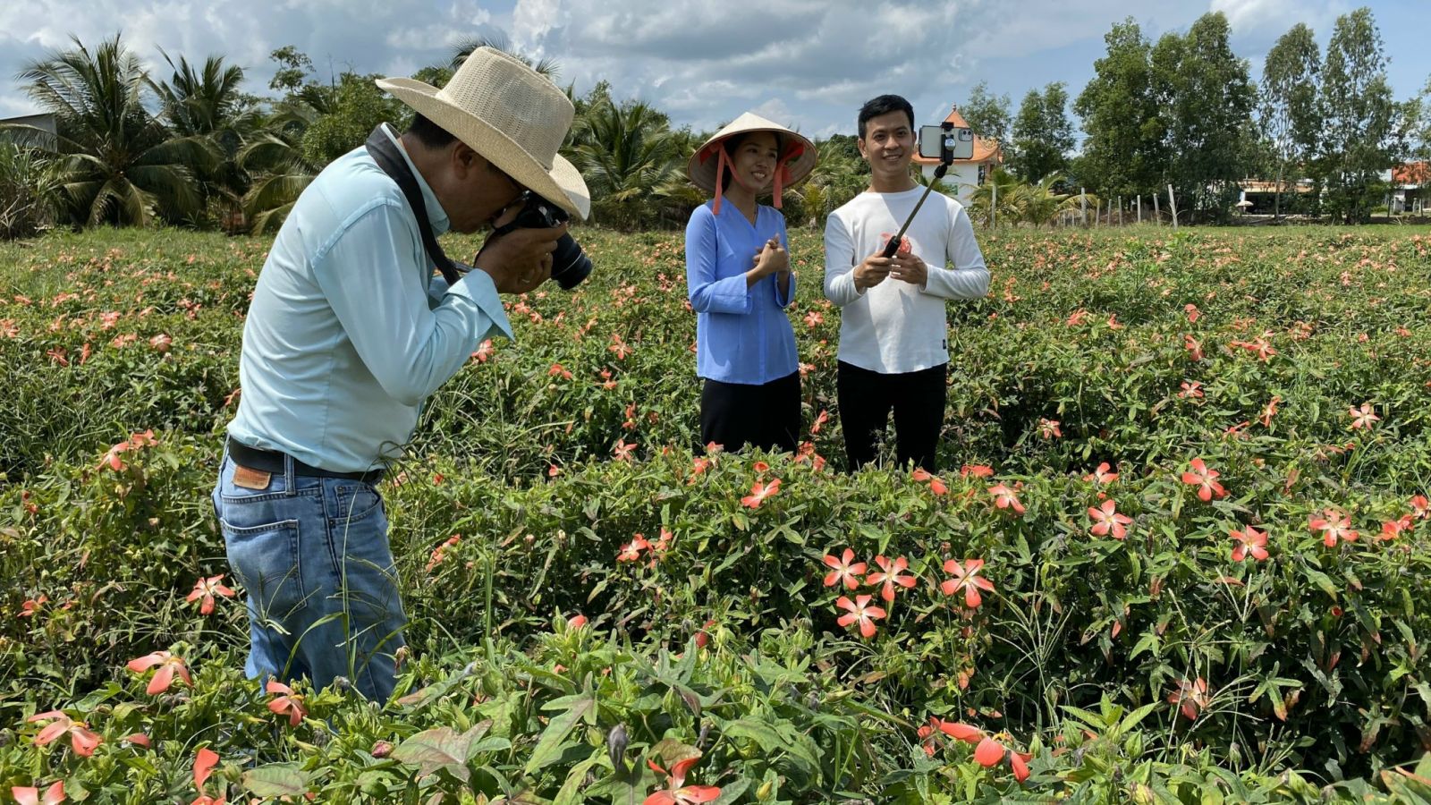   Bỏ phố phường, chị lên đường về quê Long An trồng cánh đồng sâm ra hoa đẹp phát hờn - Ảnh 3.