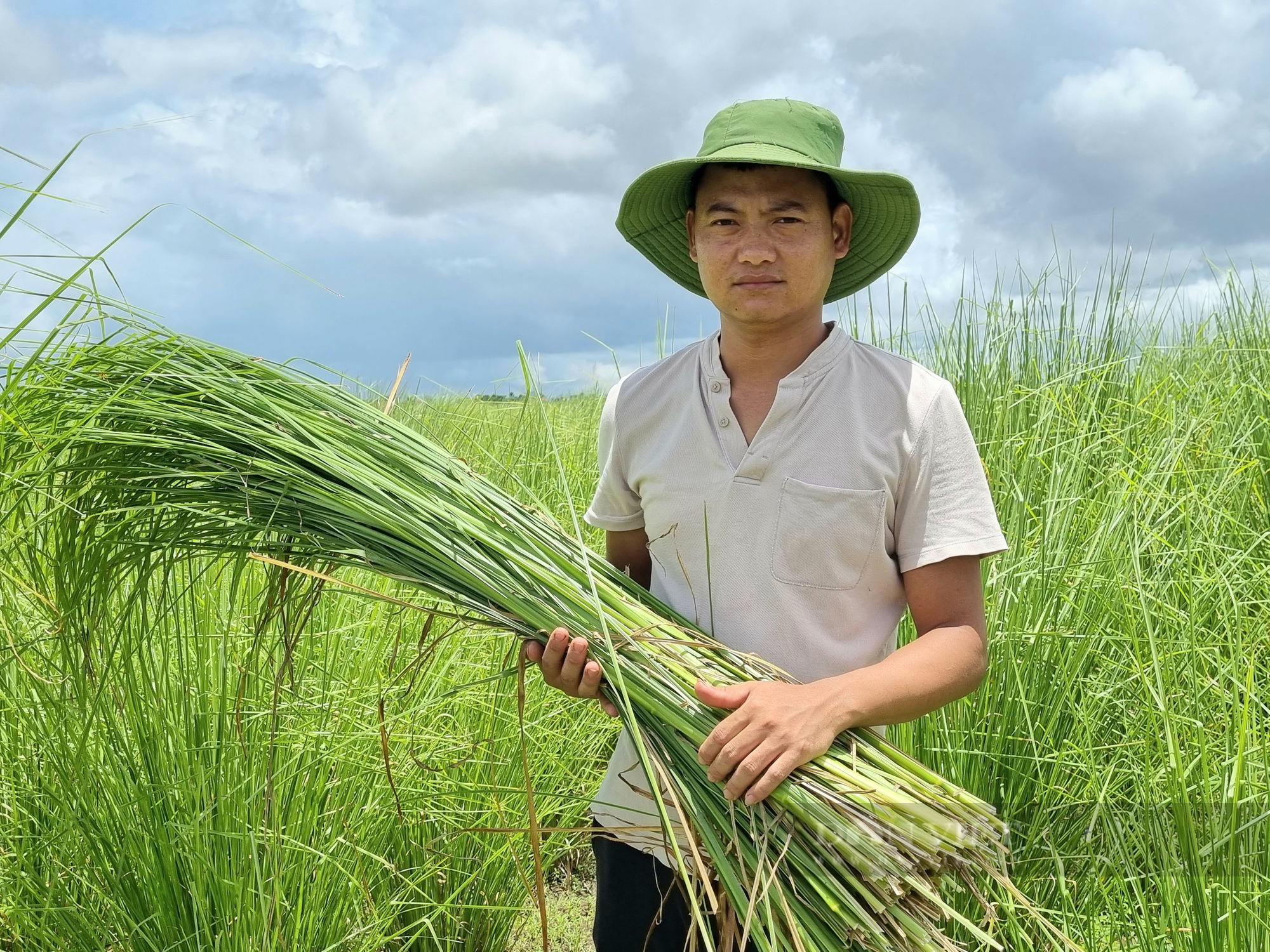 Ninh Bình: Lạ đời 9X trồng cỏ Vetiver thu nhập hàng chục triệu đồng/tháng - Ảnh 2.