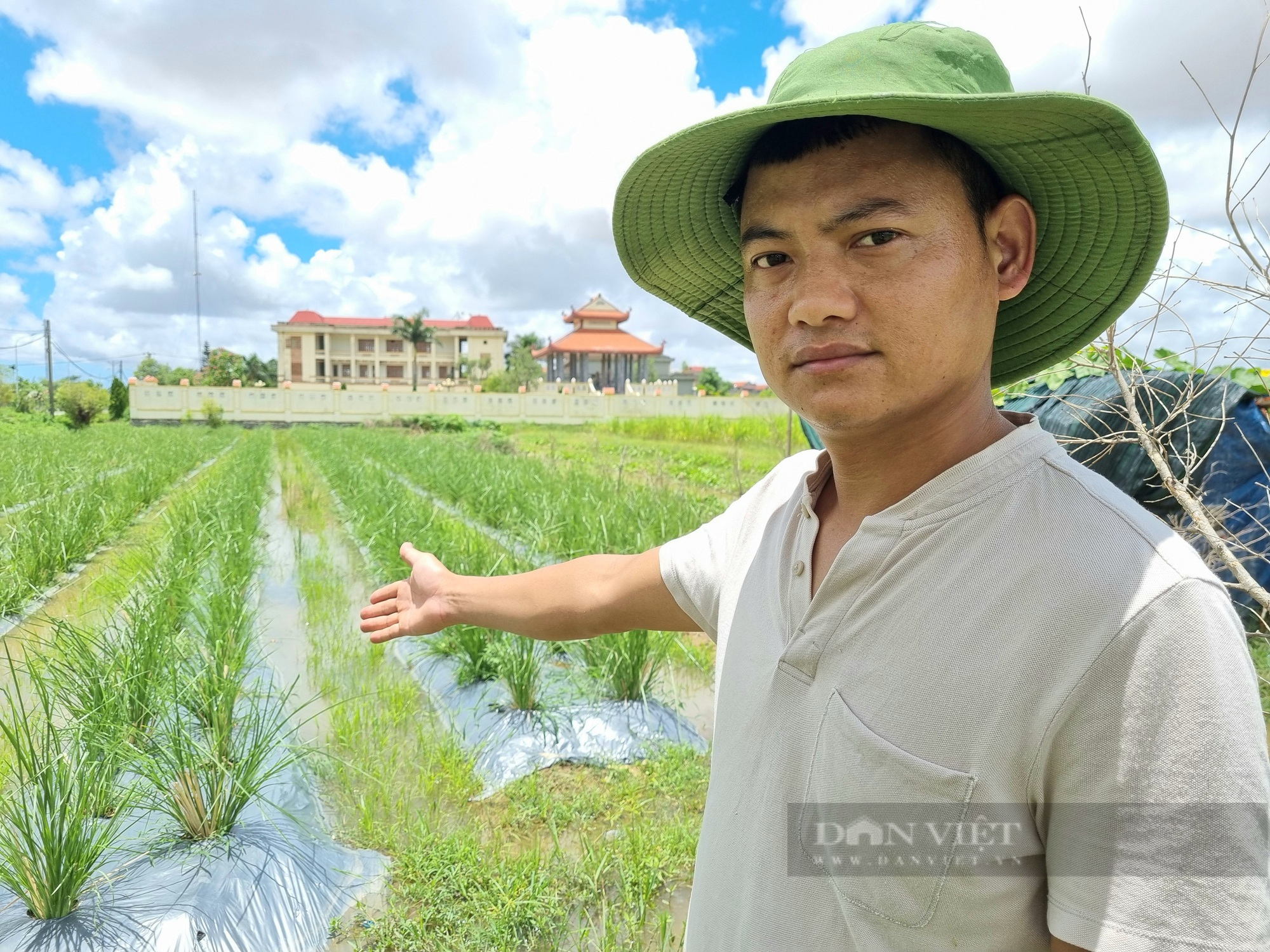 Ninh Bình: Lạ đời 9X trồng cỏ Vetiver thu nhập hàng chục triệu đồng/tháng - Ảnh 9.