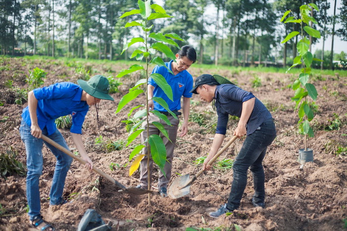 Giai đoạn 2019 - 2022, các cấp Đoàn thanh niên trồng mới trên 30 triệu cây xanh, trên 16.000 ý tưởng, mô hình khởi nghiệp - Ảnh 2.