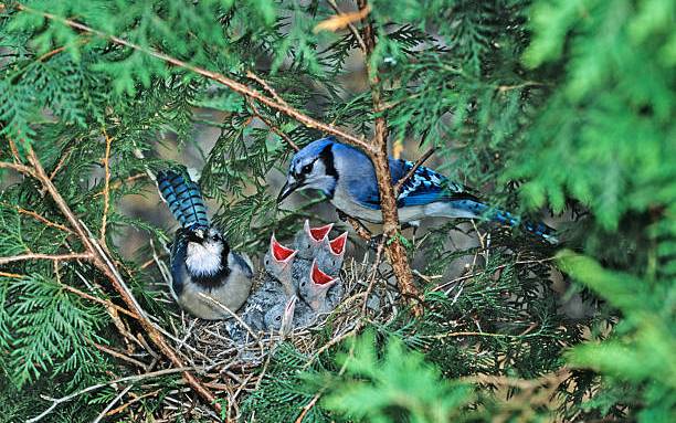 Ai sinh ngày Âm lịch này là &quot;cổ phiếu&quot; tiềm năng, kiên trì ắt thành công