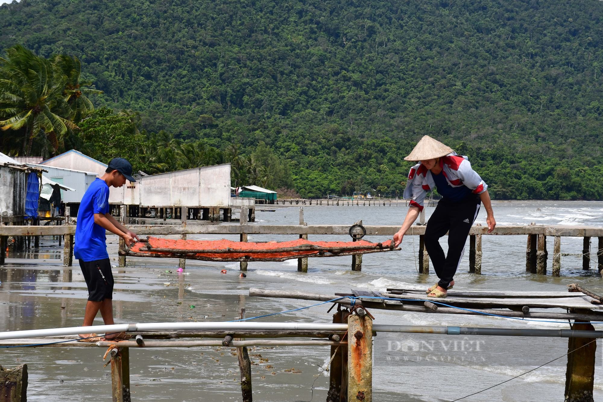 Thu hồi đất dự án du lịch ở Phú Quốc: ‘Lợi ích quốc gia, công cộng’ là thế nào? - Ảnh 4.