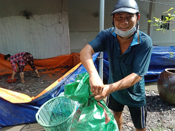 Nuôi cá tra bao năm không khá, mới chuyển sang nuôi cá trê trắng anh nông dân Hậu Giang lại đổi đời - Ảnh 1.