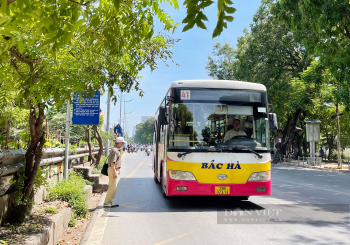 Công ty Bắc Hà xin dừng khai thác 5 tuyến xe bus ở Hà Nội vì nguy cơ vỡ nợ, nhiều tài xế bị sốc - Ảnh 6.