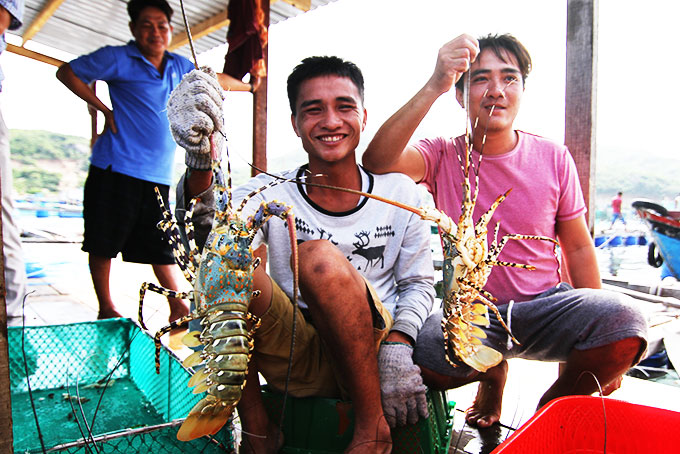 Trung Quốc đột nhiên tăng mua loài tôm khổng lồ của Việt Nam, tăng gấp 29 lần so với năm ngoái - Ảnh 1.