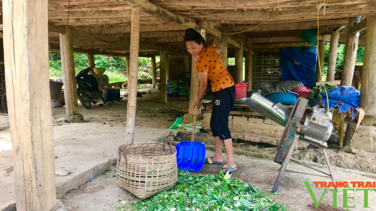 Nông thôn Tây Bắc: Nữ dân tộc Thái chăn nuôi giỏi, vươn lên thoát nghèo - Ảnh 4.