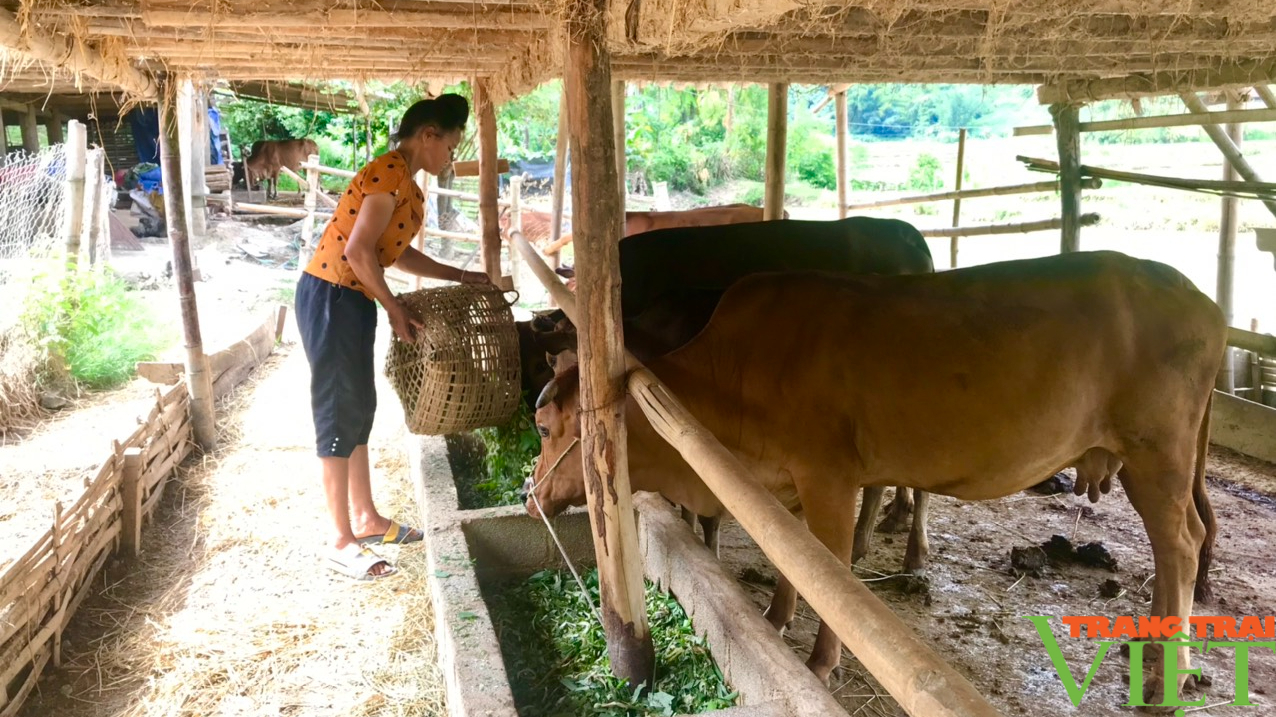 Nông thôn Tây Bắc: Nữ dân tộc Thái chăn nuôi giỏi, vươn lên thoát nghèo - Ảnh 2.