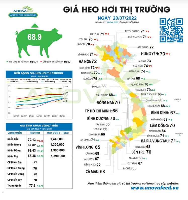 Giá lợn hơi Việt Nam &quot;neo&quot; ở đỉnh, đã tiệm cận với giá lợn Trung Quốc - Ảnh 1.