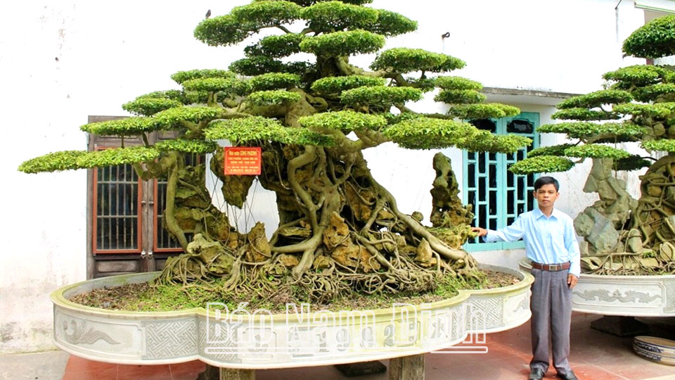 Vùng đất trồng cây cảnh đang hot với những nghệ nhân tài hoa sở hữu cây tiền tỷ ở Nam Định - Ảnh 1.