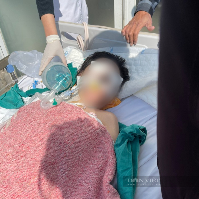 Vụ mẹ đơn thân tử vong khi nâng mũi ở Hà Nội: Bắt chủ cơ sở thẩm mỹ - Ảnh 1.