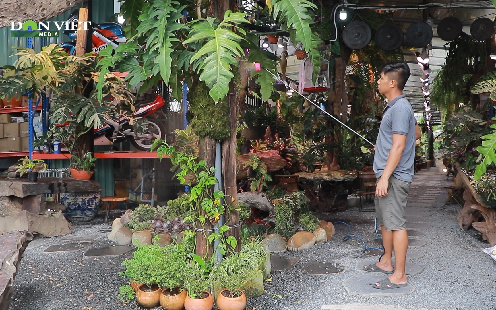 Clip: Quán cà phê trang trí bằng cây kiểng và thú cưng giữa phố Sài thành 