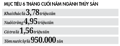 “Rào cản” ngành thủy sản cuối năm - Ảnh 3.