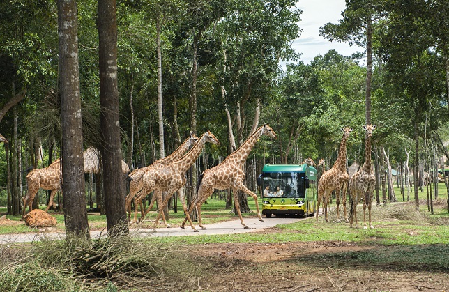 Biệt đội phản ứng nhanh” của Vinpearl Safari Phú Quốc - Ảnh 4.