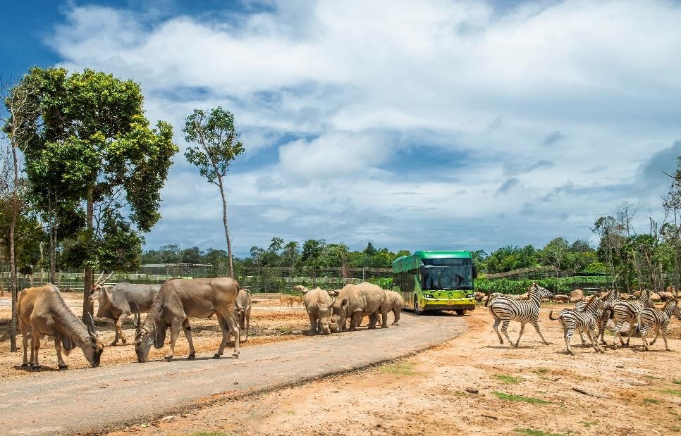 Gặp gỡ những “gương mặt” quý hiếm tại Vinpearl Safari - Ảnh 8.