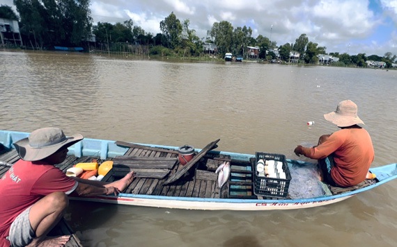 Loài cá đặc sản đã xuất hiện trên sông Sở Thượng ở Đồng Tháp, dân đánh bắt bán 300.000 đồng/ký