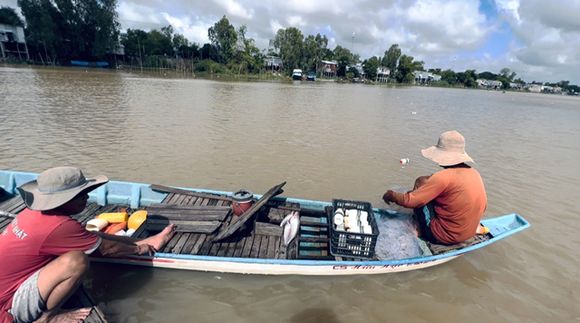 Loài cá đặc sản đã xuất hiện trên sông Sở Thượng ở Đồng Tháp, dân đánh bắt bán 300.000 đồng/ký - Ảnh 1.