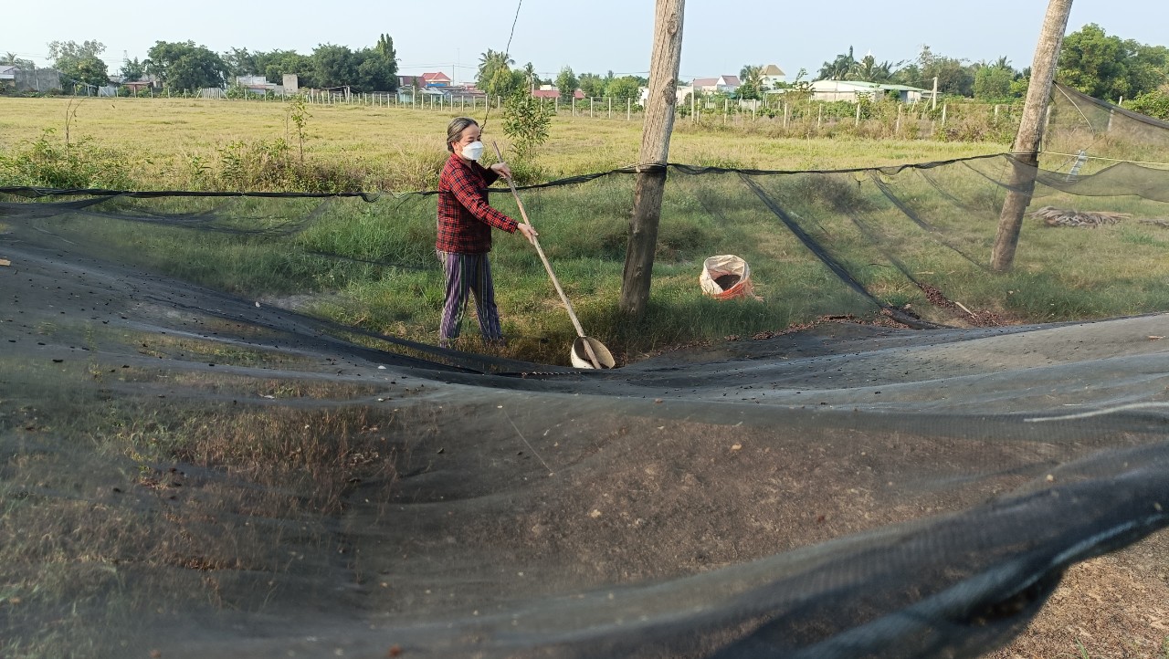 Nuôi loài thú chả mất tiền mua con giống, chăm nhàn, chỉ hốt phân bán nông dân Tây Ninh cũng khẳm tiền - Ảnh 1.