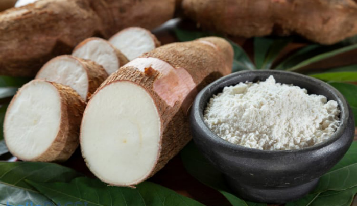 Trung Quốc chi 2,2 tỷ USD mua tinh bột sắn, Việt Nam cung cấp vẫn chưa thấm vào đâu - Ảnh 2.