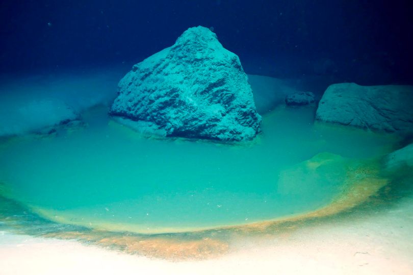 Vùng nước bí ẩn dưới đáy đại dương có thể giết chết bất kỳ sinh vật nào bơi qua - Ảnh 1.