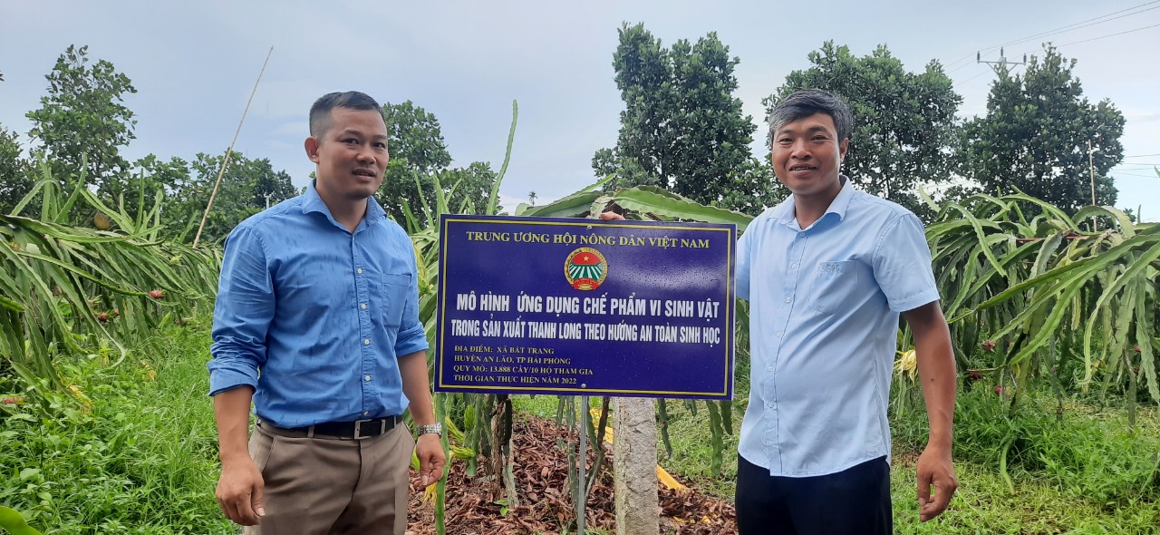 Hải Phòng: Bàn giao cây giống, vật tư cho nông dân ứng dụng chế phẩm vi sinh vật trong sản xuất thanh long - Ảnh 3.