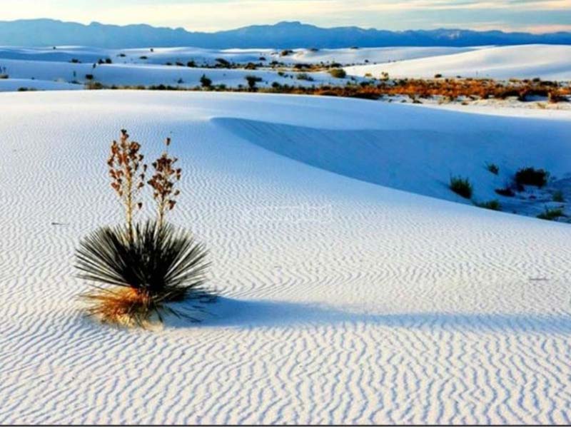 Khám phá thị trấn “ma thuật” trên sa mạc Chihuahua, Mexico - Ảnh 6.