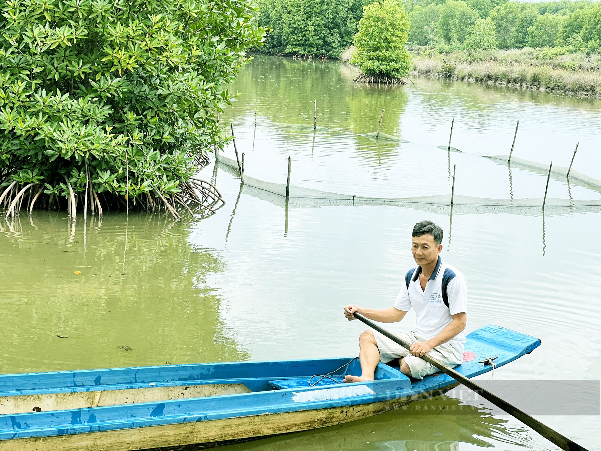 Cà Mau có 19.000ha tôm rừng có chứng nhận quốc tế - Ảnh 3.