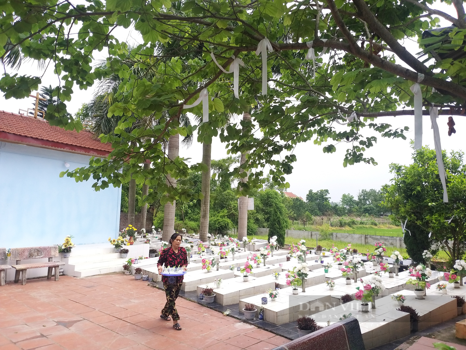 Vườn thánh thai nhi Bến Cốc: &quot;Người mẹ&quot; cưu mang hàng trăm nghìn thiên thần chưa bao giờ được khóc (bài cuối) - Ảnh 5.