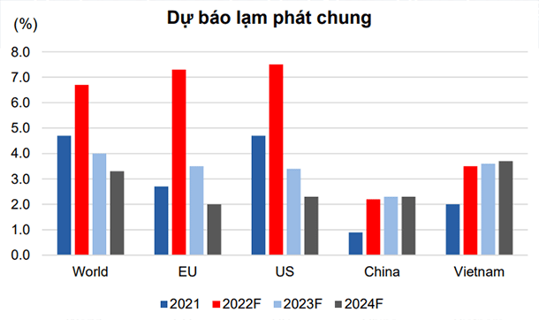 2022 và 2023 sẽ là hai năm tăng trưởng mạnh của Việt Nam - Ảnh 2.