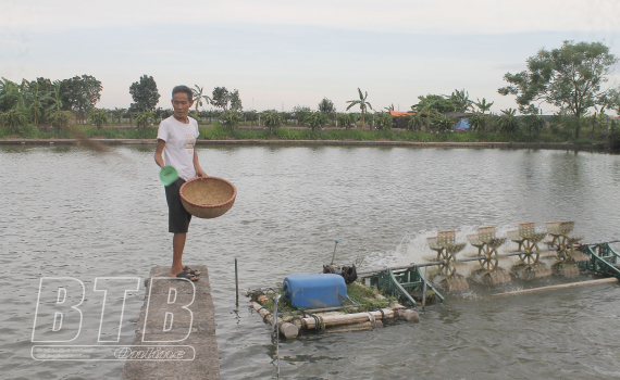 Giá cám cá tăng chưa từng có, giá cá trắm thịt ở Thái Bình còn có 42.000 đồng/kg, nông dân &quot;chông chênh&quot; - Ảnh 1.
