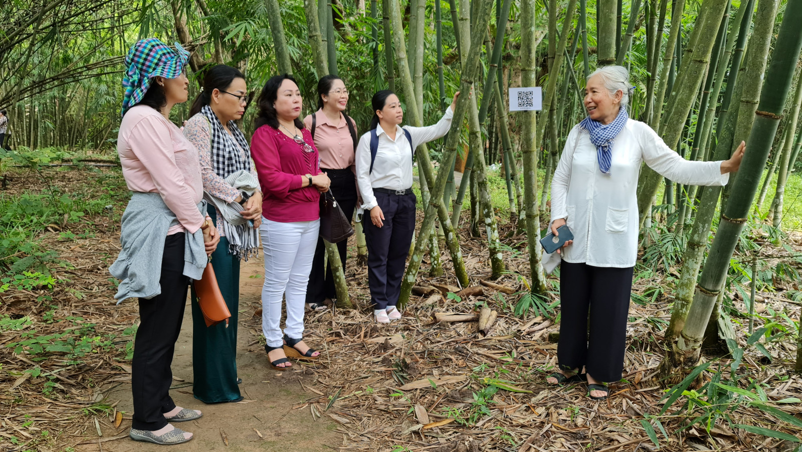 Làng trồng tre Việt Nam giữa lòng một thị xã của tỉnh Bình Dương - Ảnh 1.