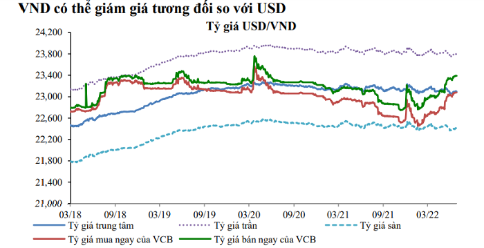 NHNN mới bán giao ngay hơn 1,4 tỷ USD, dự báo "nóng" về giá USD - Ảnh 3.