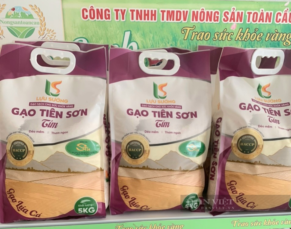 Thanh Hóa: Sản xuất lúa theo VietGAP lợi nhuận gần 30 triệu đồng/vụ/ha - Ảnh 4.