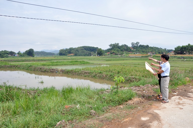 Vì sao chuyển đổi đất lúa kém hiệu quả sang nuôi trồng thủy sản ở Lập Thạch của Vĩnh Phúc còn khó khăn? - Ảnh 1.