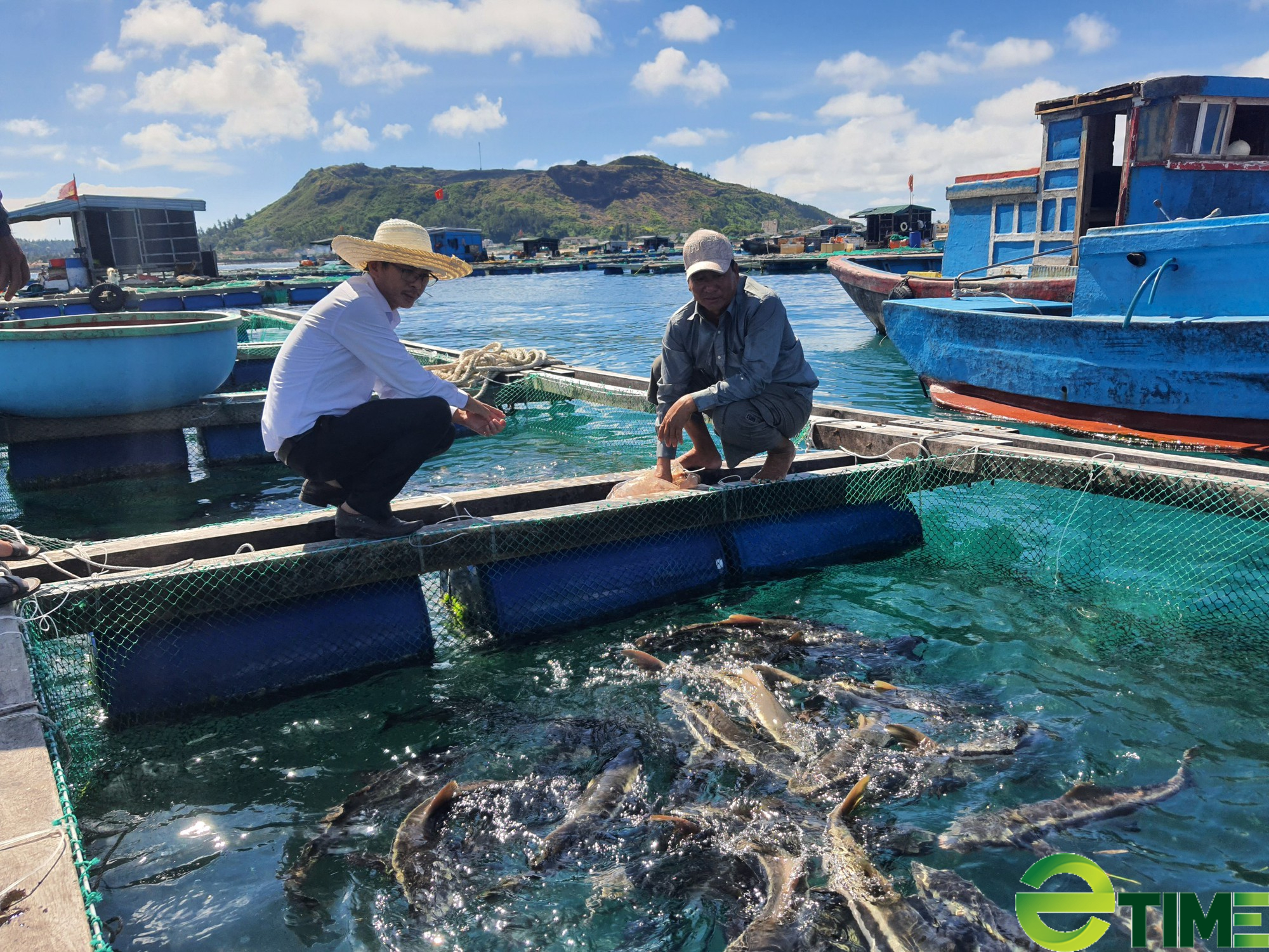Quảng Ngãi: Có vốn Agribank tiếp sức - nông dân Lý Sơn nuôi cá bớp, tôm hùm lãi cả tỷ đồng/năm - Ảnh 4.