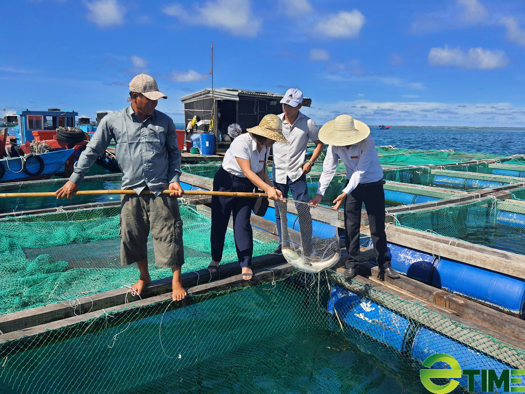 Quảng Ngãi: Có vốn Agribank tiếp sức - nông dân Lý Sơn nuôi cá bớp, tôm hùm lãi cả tỷ đồng/năm - Ảnh 1.