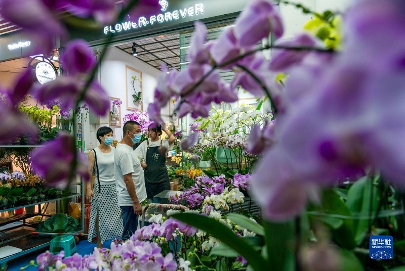 Khám phá chợ hoa lớn nhất Côn Minh, Trung Quốc - Ảnh 1.